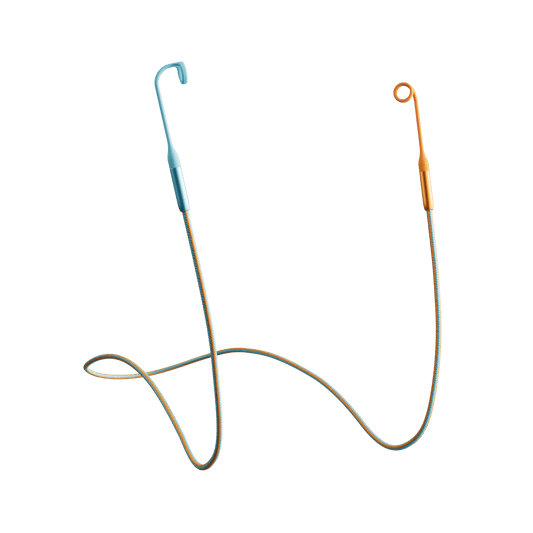 Loop x Coachella Link